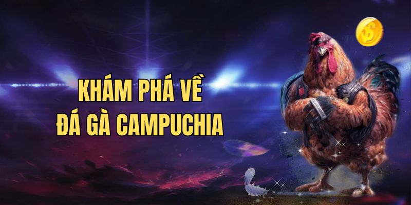 Tìm hiểu thông tin cơ bản về hình thức đá gà Campuchia