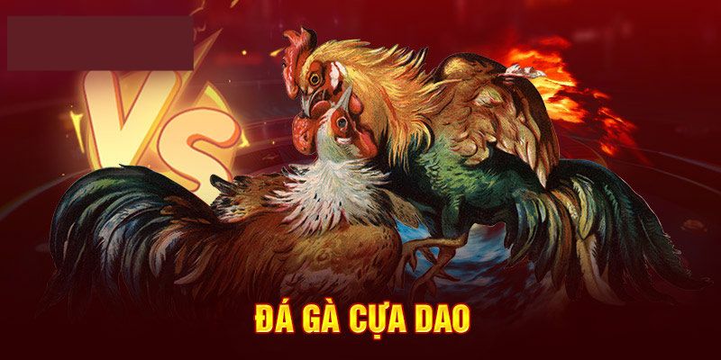 Mẹo chơi cá cược cựa dao đá gà thắng lớn cho bet thủ